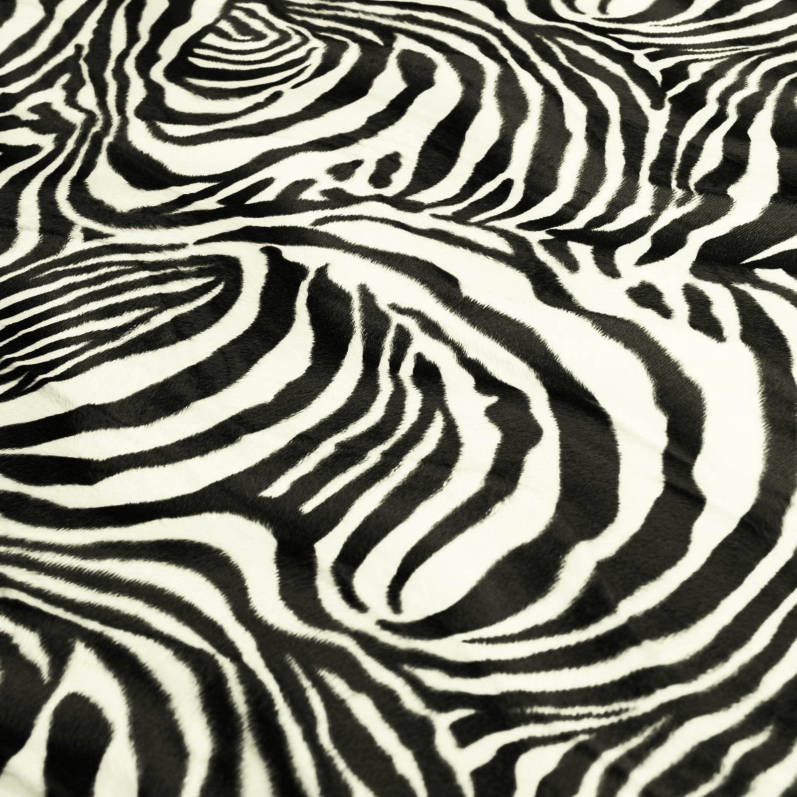 Zebra Webfell